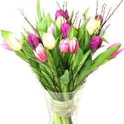 Tulpenstrauss Schweiz bunt