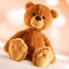 Teddy Tom