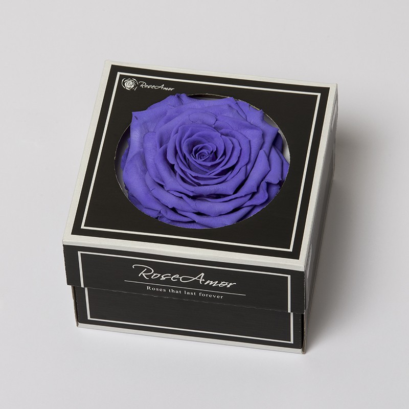 rose stabilisé XL rose stabilisé XL