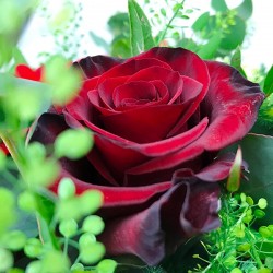 rot-grüner Blumenstrauss mit roten Rosen