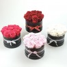 Rosenbox rot