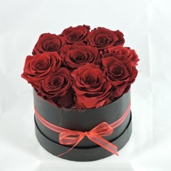 Rosenbox rot