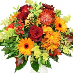 Sonniger Herbst