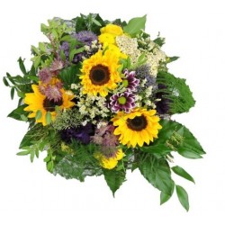 Sommerbrise