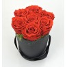 Rosenbox deluxe rot (Stabilisierte Rosen)