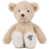 Teddy Luca