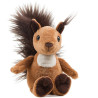 Eichhörnchen "Luzy"