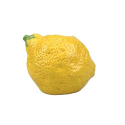 Zitronenvase 1er🍋
