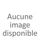 Blumen-Abo
